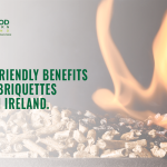 Eco-Friendly Benefits of Wood Briquettes